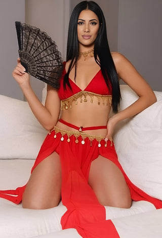 Elegant Red Tulle Belly Dance Costume - Tatee t034