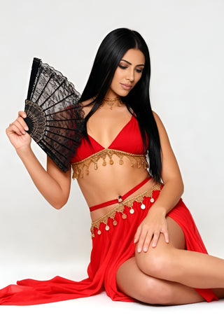 Elegant Red Tulle Belly Dance Costume - Tatee t034