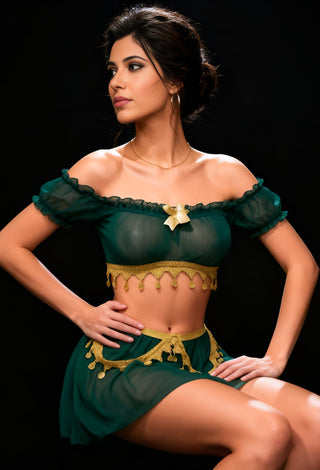 Elegant Coin Sky Blue Tulle Belly Dance Costume - Tatee t031 - Mina Femme