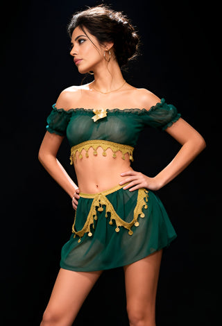 Elegant Coin Sky Blue Tulle Belly Dance Costume - Tatee t031 - Mina Femme