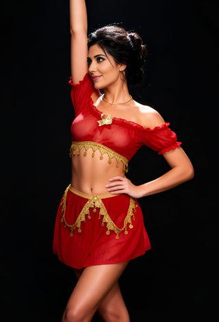 Elegant Coin Sky Blue Tulle Belly Dance Costume - Tatee t031 - Mina Femme