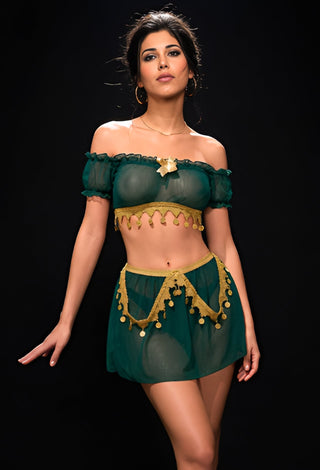 Elegant Coin Sky Blue Tulle Belly Dance Costume - Tatee t031 - Mina Femme