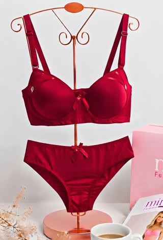 Silky Elegance Bra & Panty Set - Fsn 61428 - Mina Femme